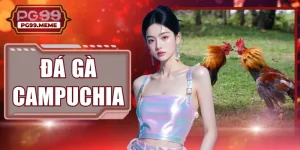Đá Gà Campuchia Đỉnh Cao Tại Đấu Trường Chuyên Nghiệp PG99