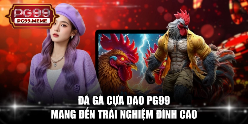 Đá gà cựa dao PG99 mang đến trải nghiệm đỉnh cao